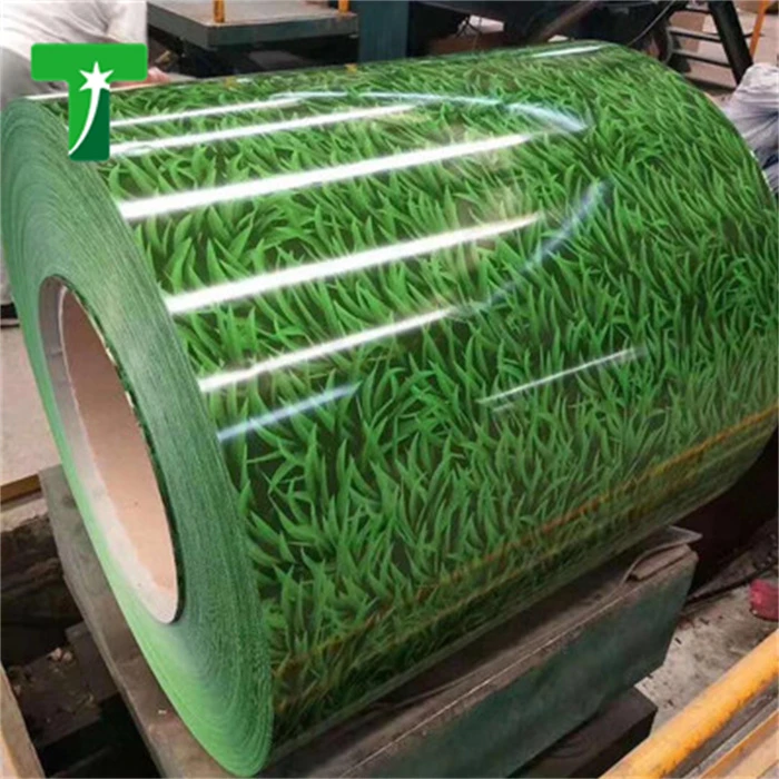 prepainted galvanized steel coil (3)